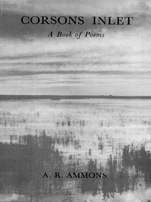 cover image of Corsons Inlet